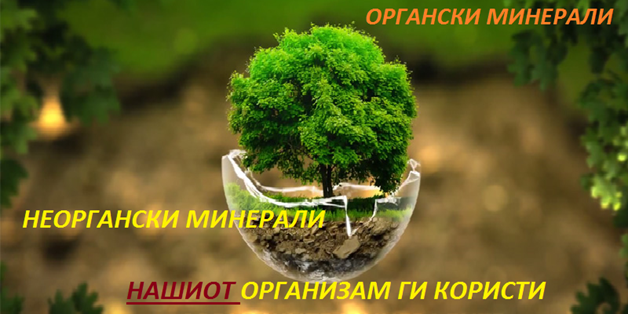 Pasted into Неоргански и органски минерали во водата